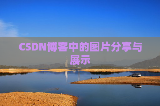 CSDN博客中的图片分享与展示